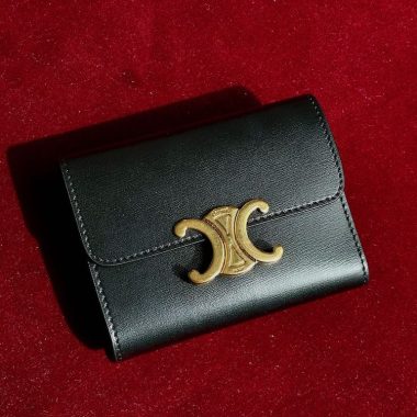 Celine Triomphe Compact Wallet with Coin review IMG_1716