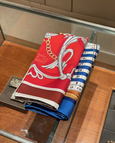 Hermes scarves_IMG_0236