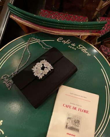 Roger Vivier Flower Strass Buckle Clutch Bag_IMG_0117